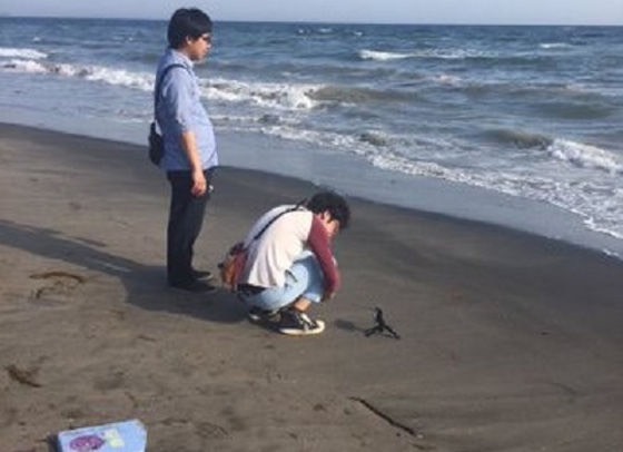 正確な連絡 粘着な性格 追加画像