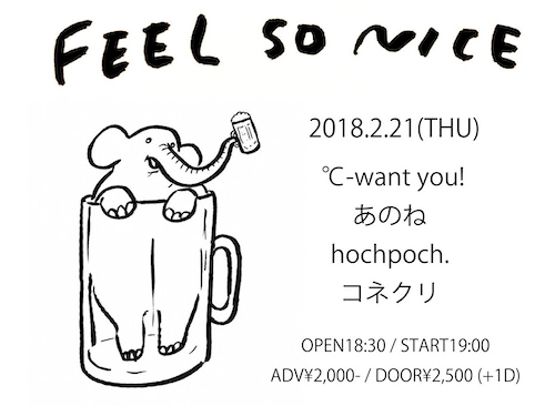 FEEL SO NICE フライヤー