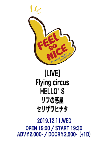FEEL SO NICE フライヤー