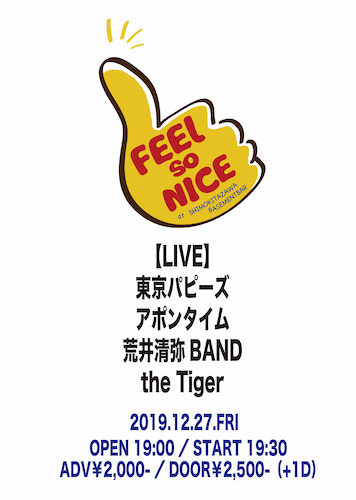 FEEL SO NICE フライヤー