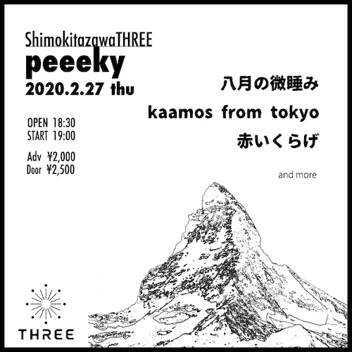 peeeky フライヤー