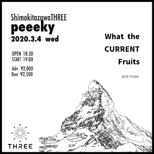 peeeky フライヤー