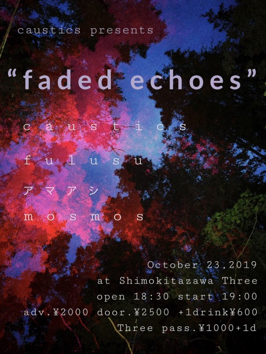 faded echoes フライヤー