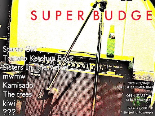 SUPER BUDGE フライヤー
