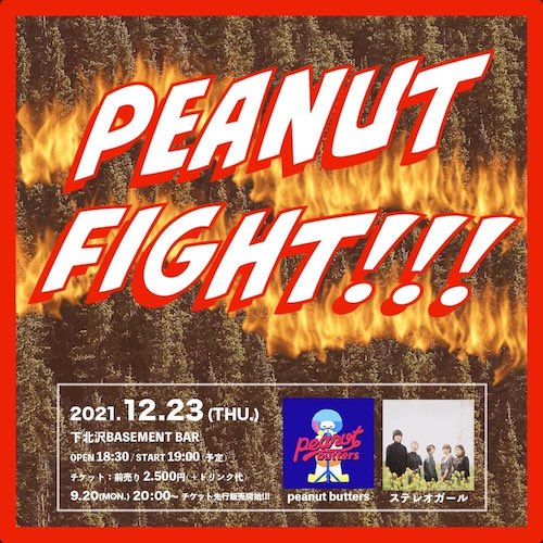 PEANUT FIGHT!!! フライヤー