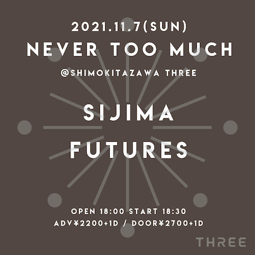 NEVER TOO MUCH フライヤー