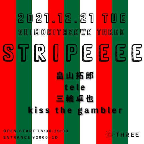 STRIPEE フライヤー