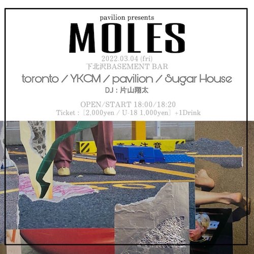 MOLES フライヤー