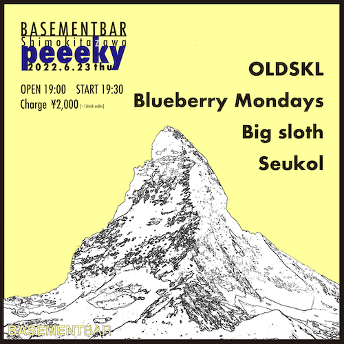 peeeky フライヤー