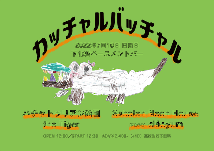 カッチャルバッチャル フライヤー