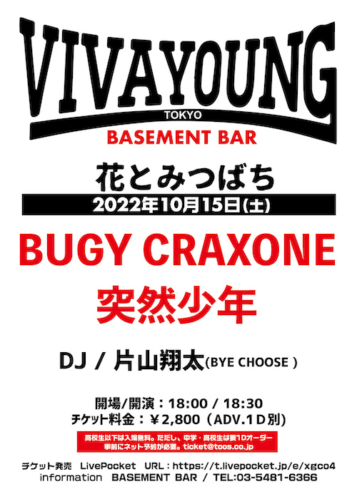 VIVA YOUNG! フライヤー