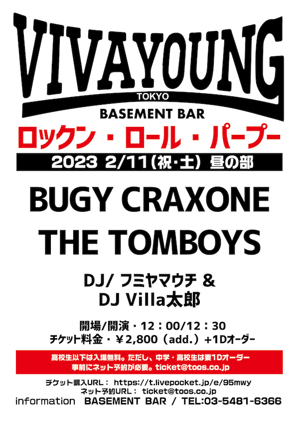 VIVA YOUNG! フライヤー