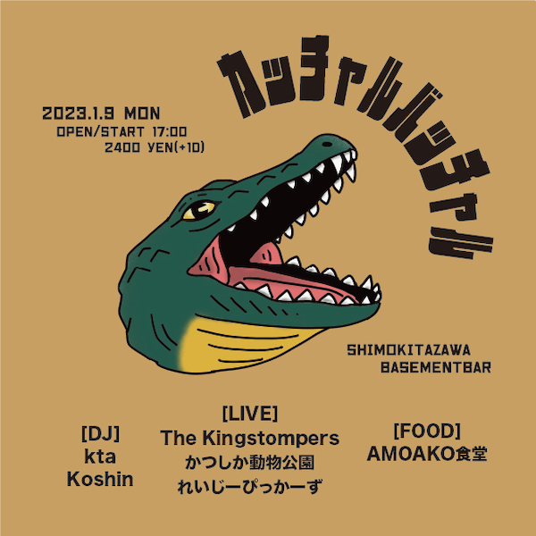 カッチャルバッチャル フライヤー