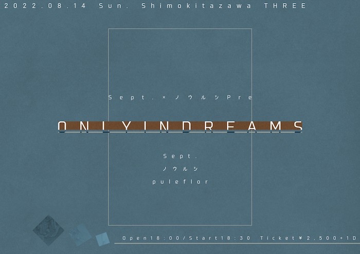 ONLY IN DREAMS フライヤー