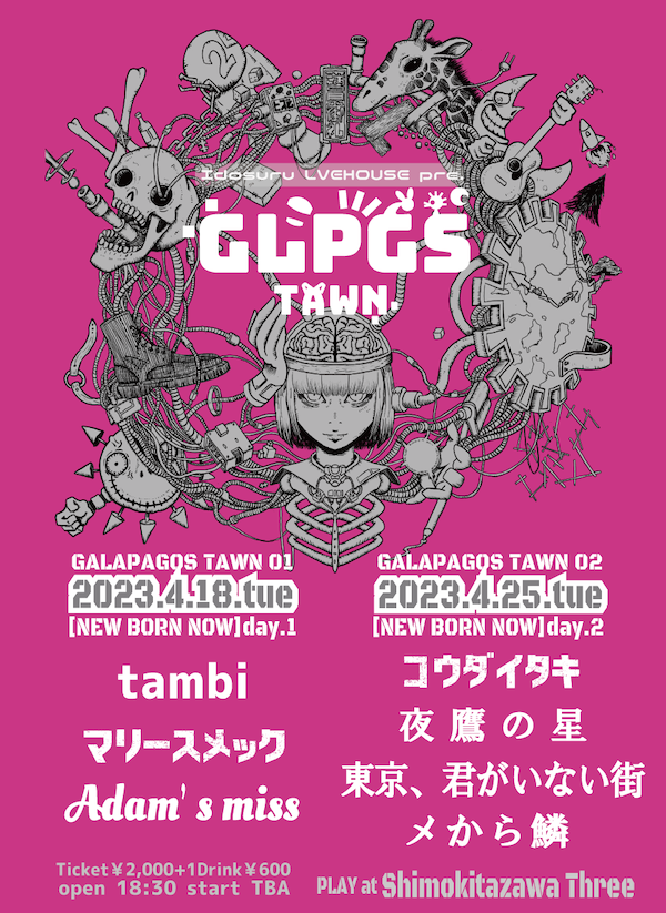 GALAPAGOS TAWN 02 フライヤー