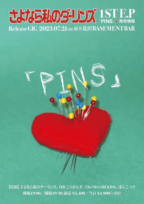 PINS フライヤー