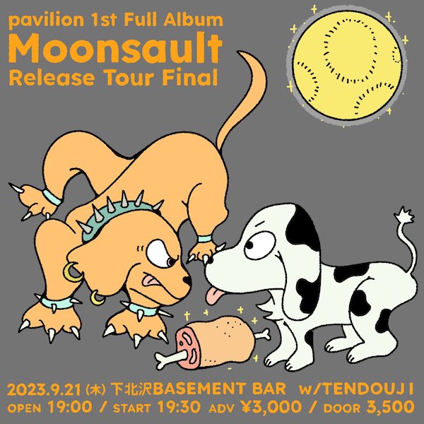 pavilion 1st Full Album『Moonsault』Release Tour Final フライヤー