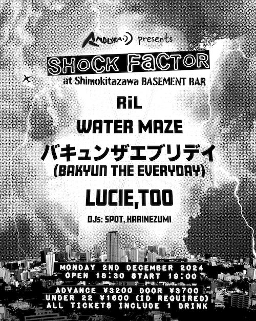 SHOCK FACTOR フライヤー