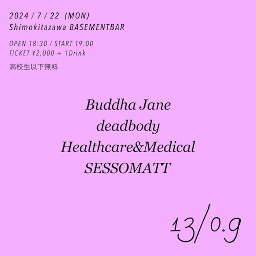 13/0.9 フライヤー