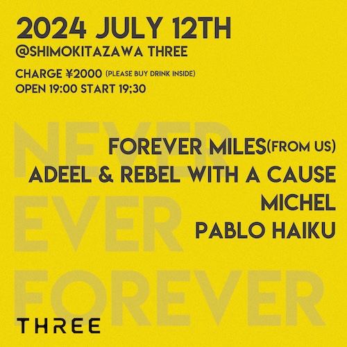 NEVER EVER FOREVER フライヤー
