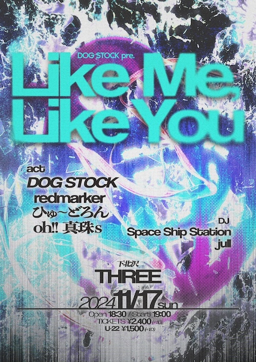 Like Me, Like You フライヤー