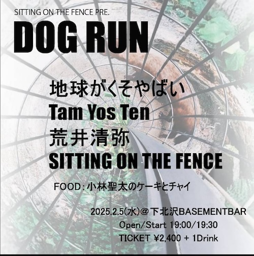 DOG RUN フライヤー