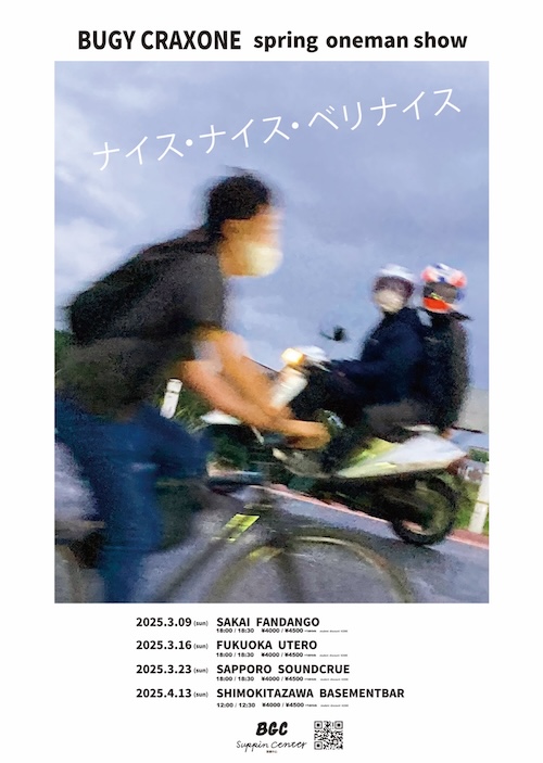 ナイス･ナイス･ベリナイス フライヤー