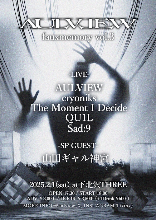 fauxmemory vol.3 フライヤー