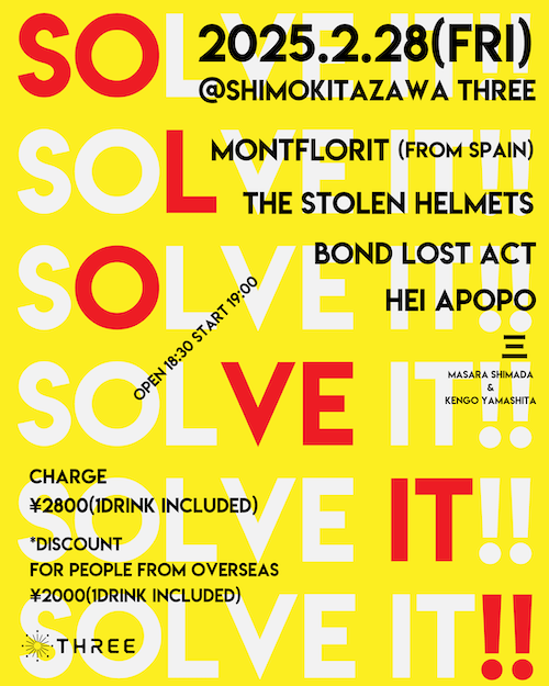 SOLVE IT!! フライヤー