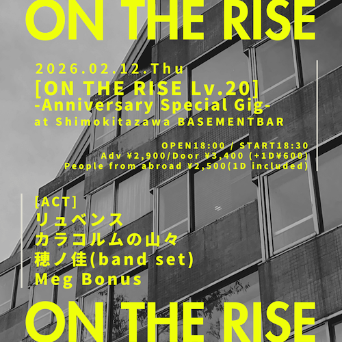 ON THE RISE Lv.20 フライヤー