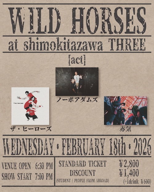 WILD HORSES フライヤー