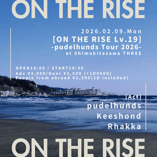 ON THE RISE Lv.19 フライヤー