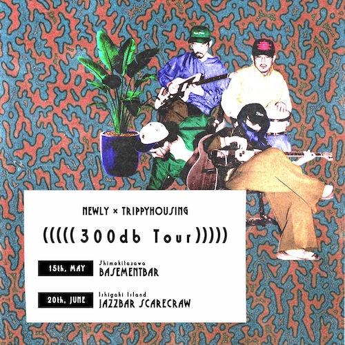 300db Tour フライヤー