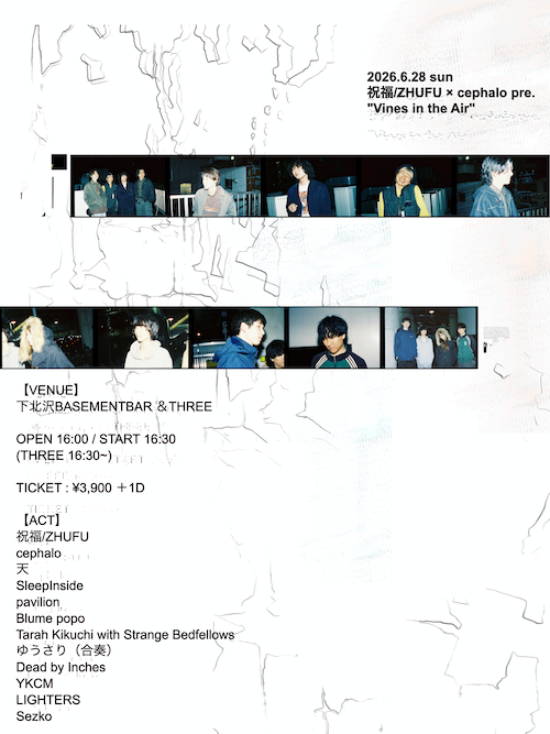 Vines in the Air フライヤー