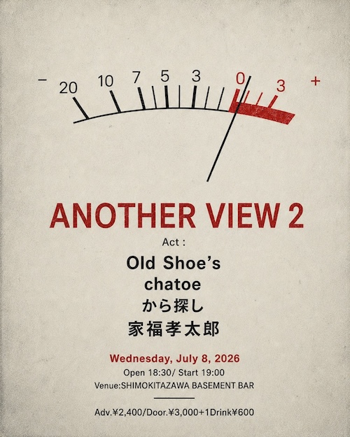 ANOTHER VIEW 2 フライヤー